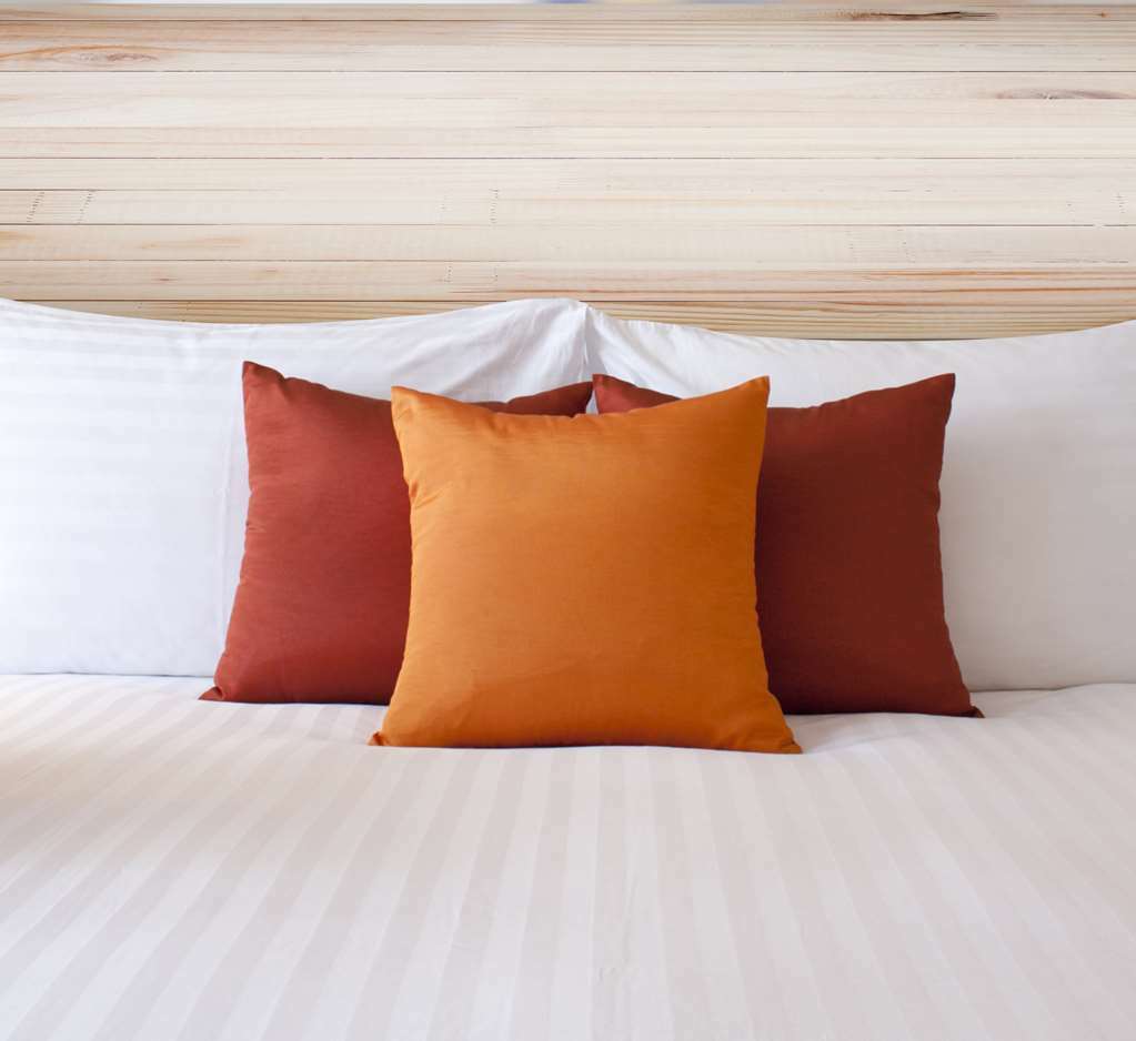 Econo Lodge Inn & Suites Sweetwater I-20 Kamer foto